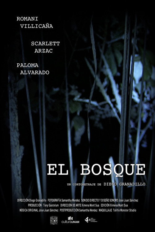 El Bosque (2019) poster