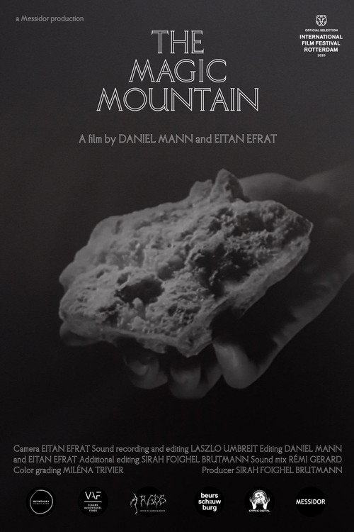 The Magic Mountain (2020) poster