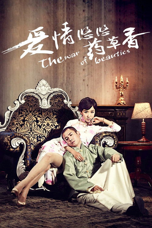 The War of Beauties (2013) poster