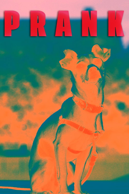 Prank (2026) poster