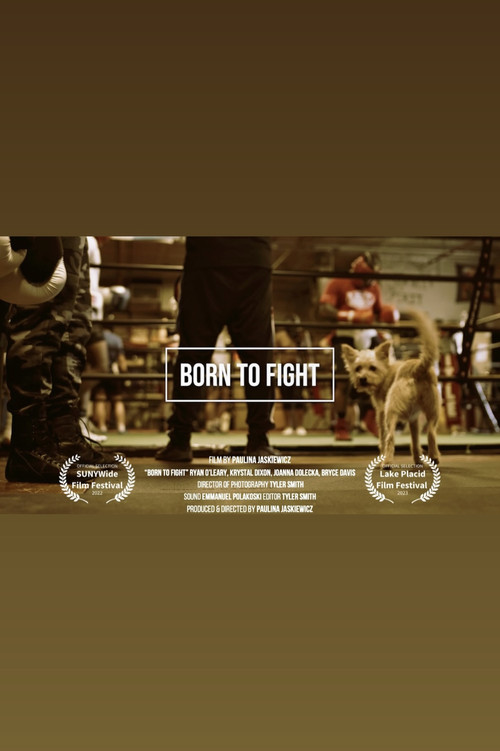 Born to Fight (2022) poster