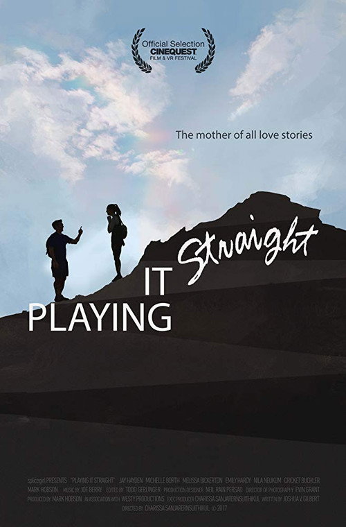 Playing It Straight (2017) poster