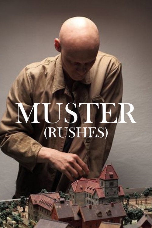 Rushes (2012) poster