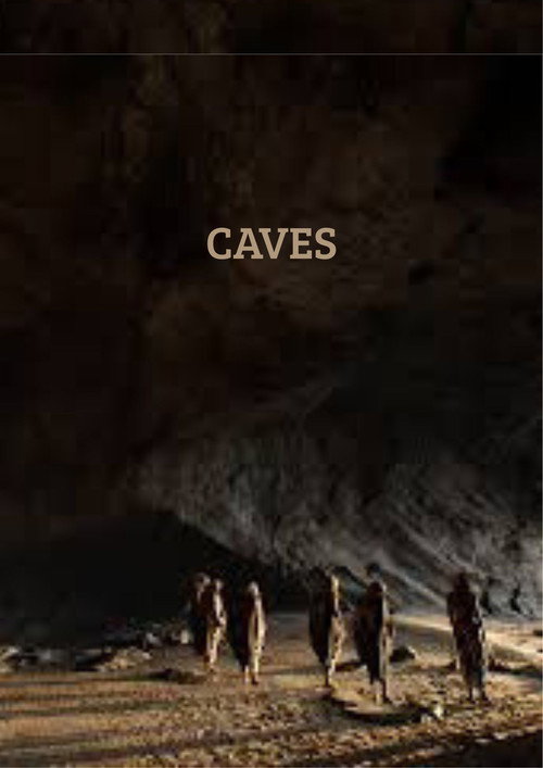 CAVES (2023) poster