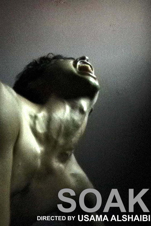 Soak (2002) poster