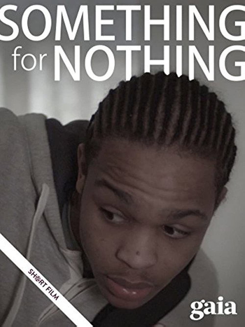 Something for Nothing (2013) poster