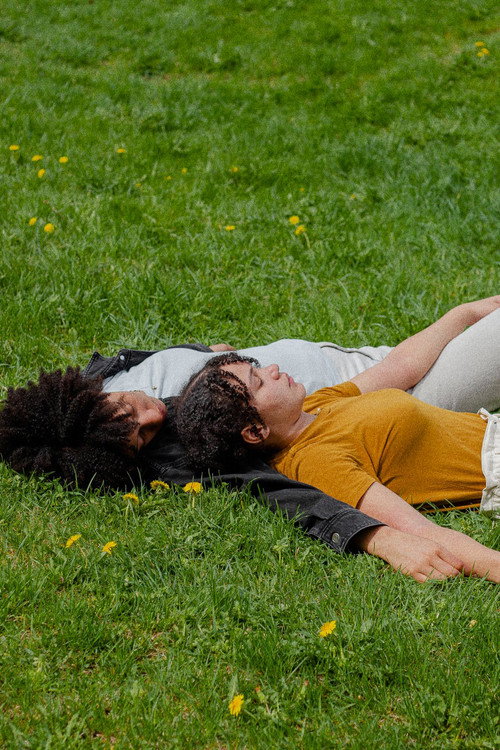 Dandelions (2023) poster