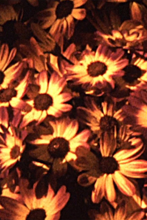 Chromatic (2015) poster