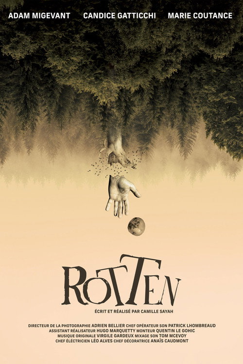Rotten poster
