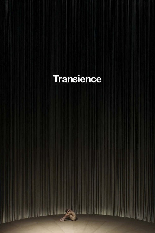 Transience (2023) poster