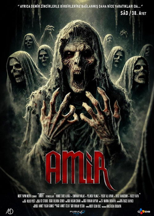 Amir (2024) poster