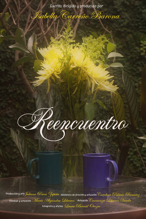 Reencuentro (2025) poster