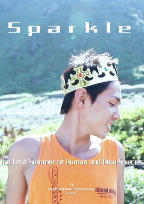 Sparkle (2018) poster
