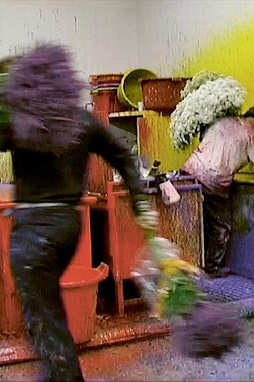 Flowers 4 (2003) poster