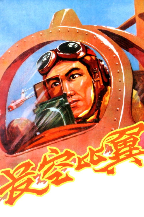 Flying in the Sky