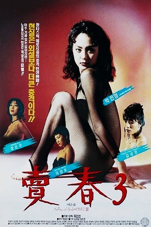 Prostitution 3 (1993) poster