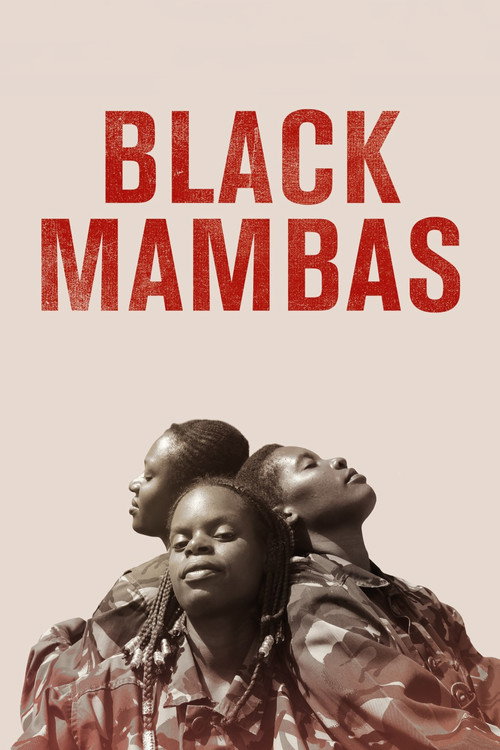 Black Mambas (2022) poster