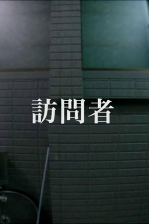 Visitor (2022) poster