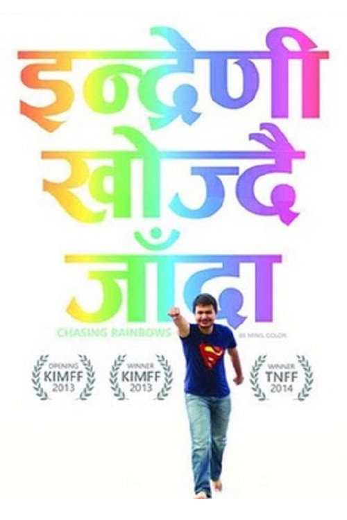 Chasing Rainbows (2013) poster