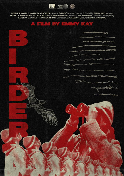 Birder (2026) poster