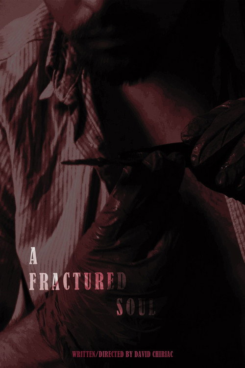 A Fractured Soul