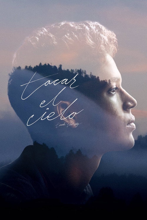 Touch the Sky (2021) poster