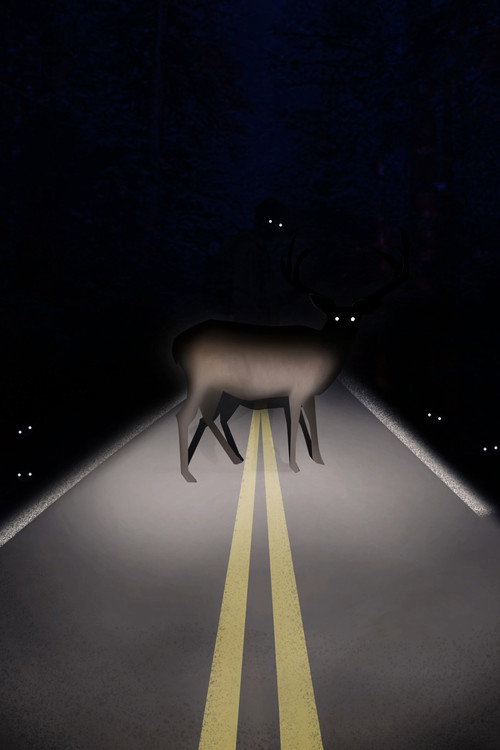 Roadkill (2024) poster