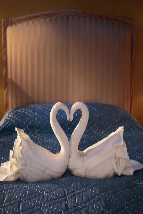 Swan Song (2014) poster