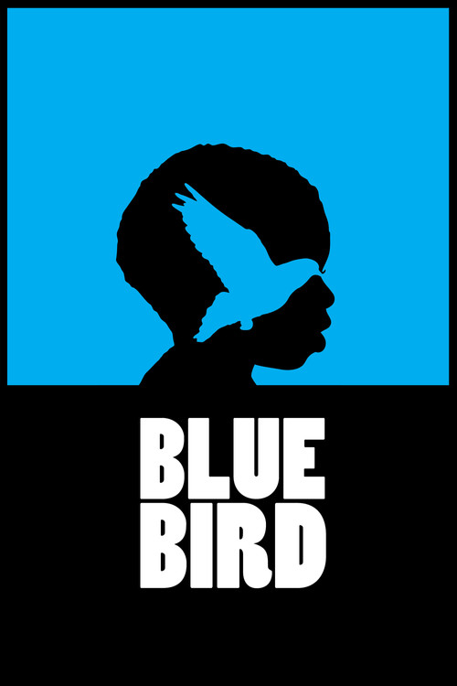 Blue Bird (2011) poster
