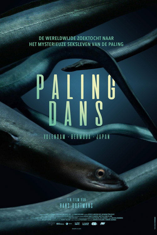 Hidden Dance of Eels