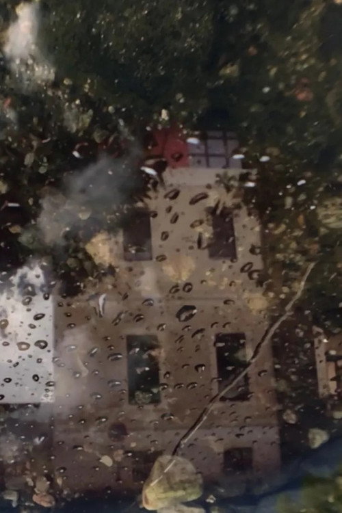 Insurrection (2020) poster