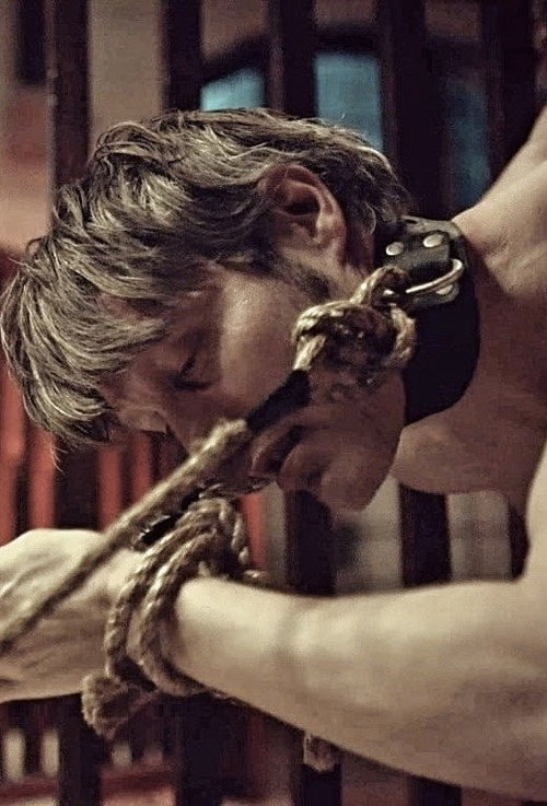 Hannibal: This Is My Design (2014) poster