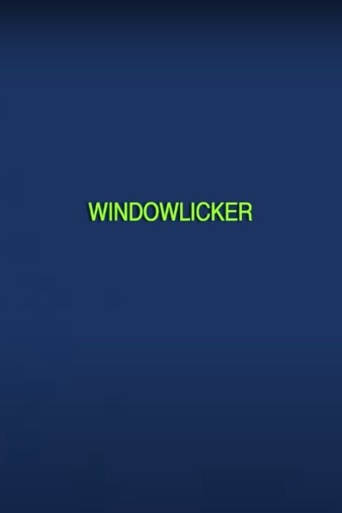 Windowlicker (2020) poster