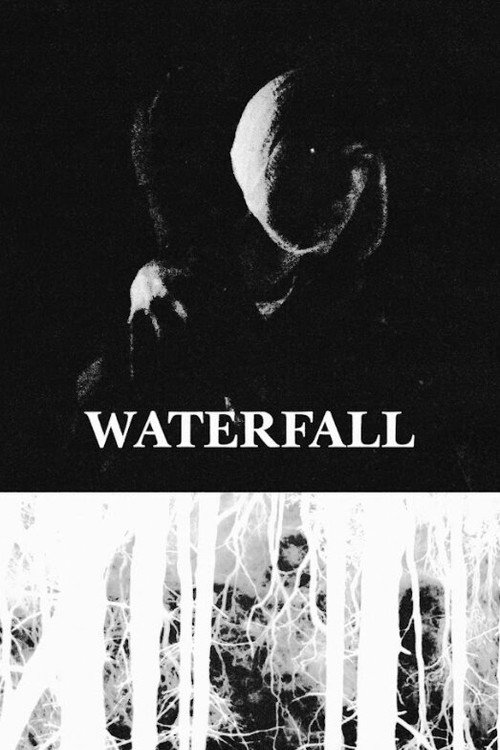 Waterfall (2026) poster