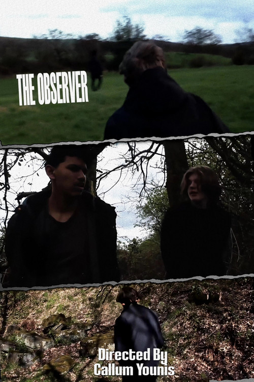 The Observer (2026) poster