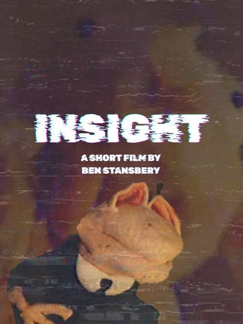 Insight (2024) poster