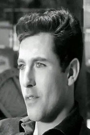 Amr El Torgoman