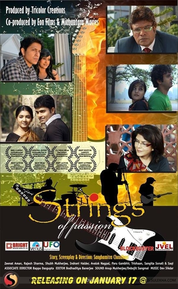 Poster for the movie "Strings of Passion"