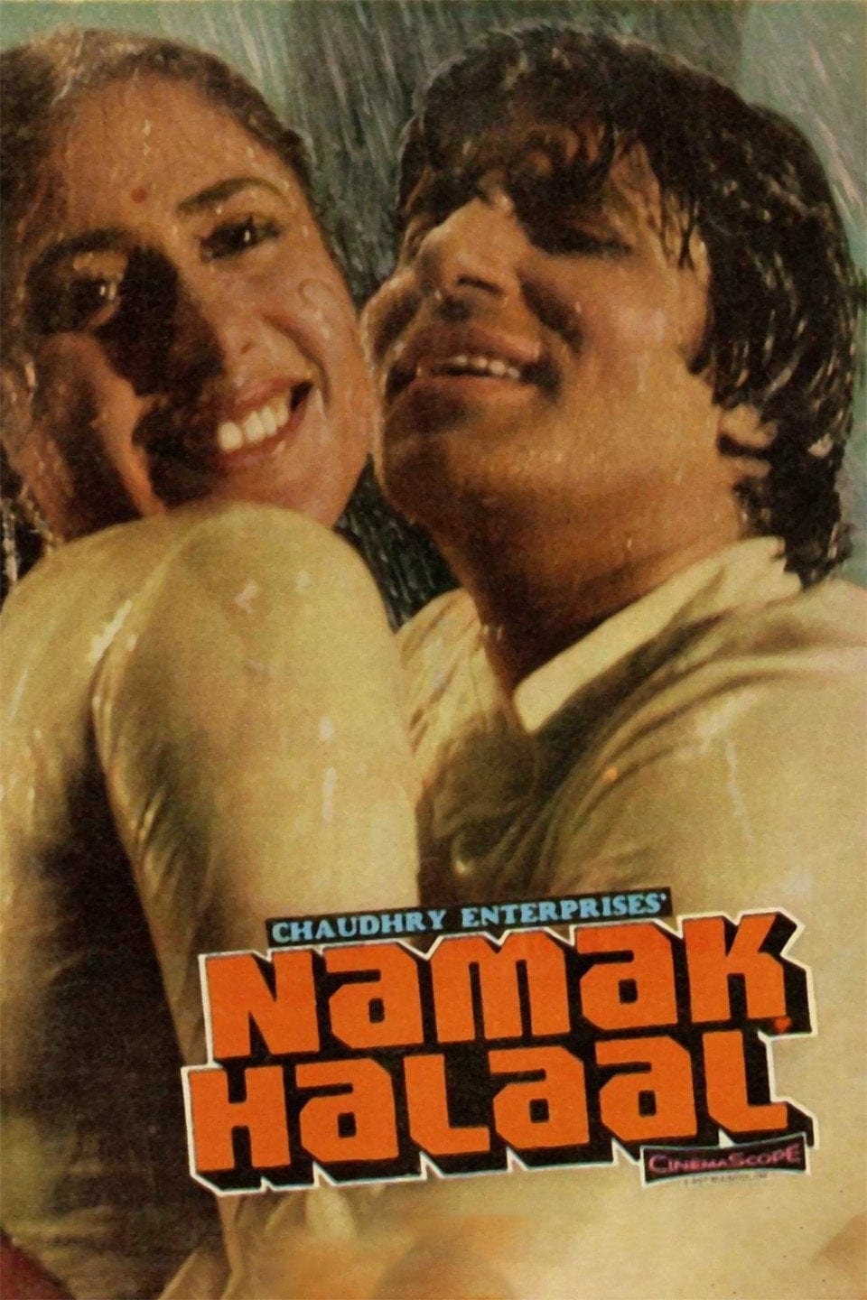 Poster for the movie "Namak Halaal"