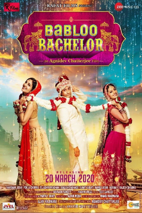 Poster for the movie "Babloo Bachelor"