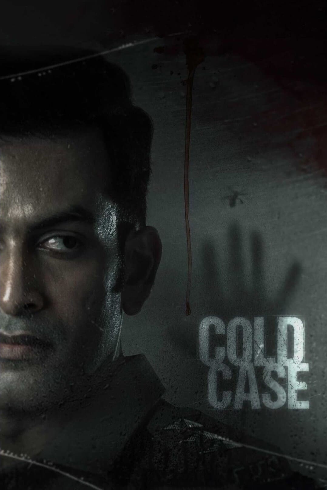 Poster for the movie "Cold Case"