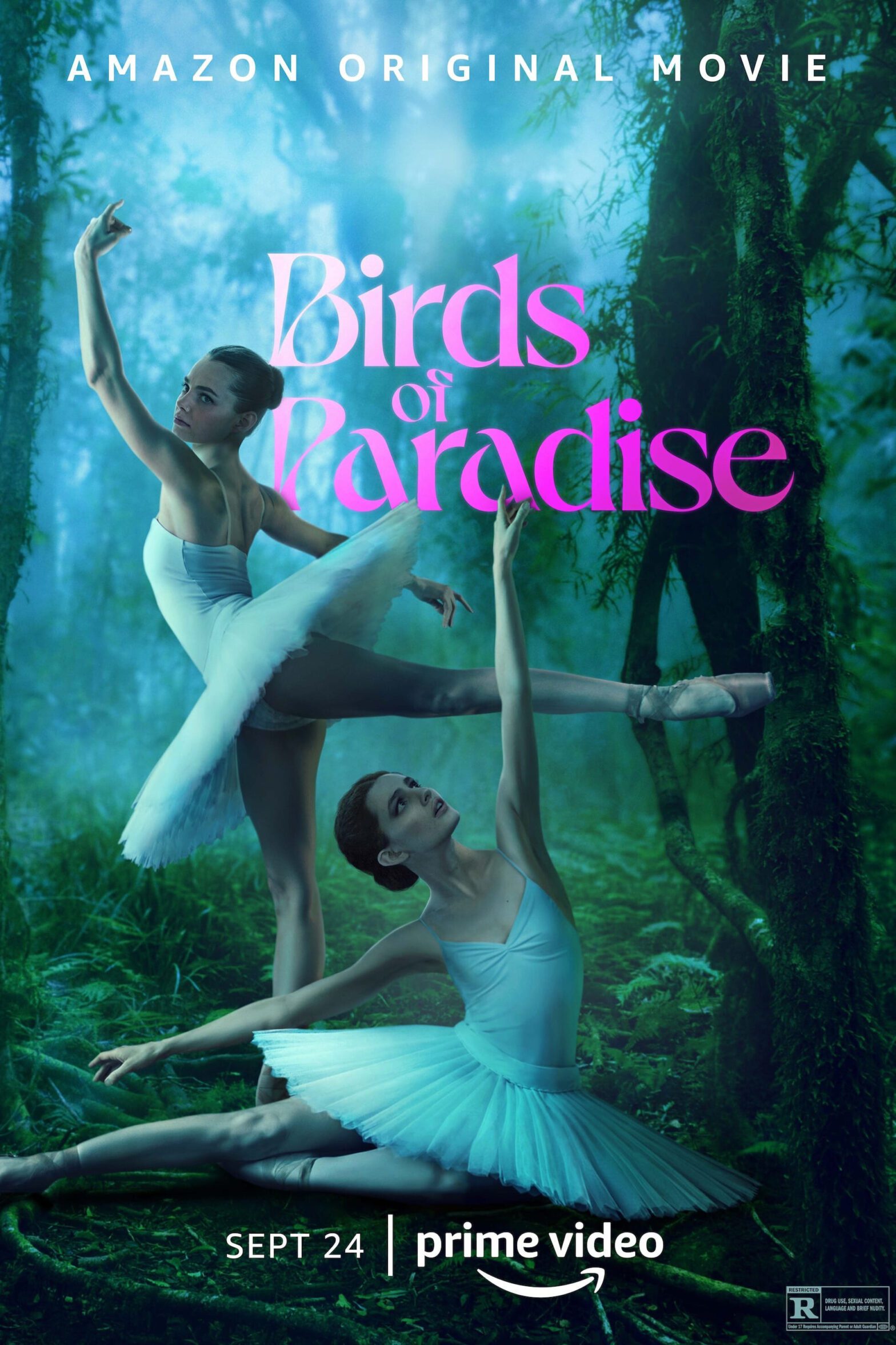 Poster for the movie "Birds of Paradise"