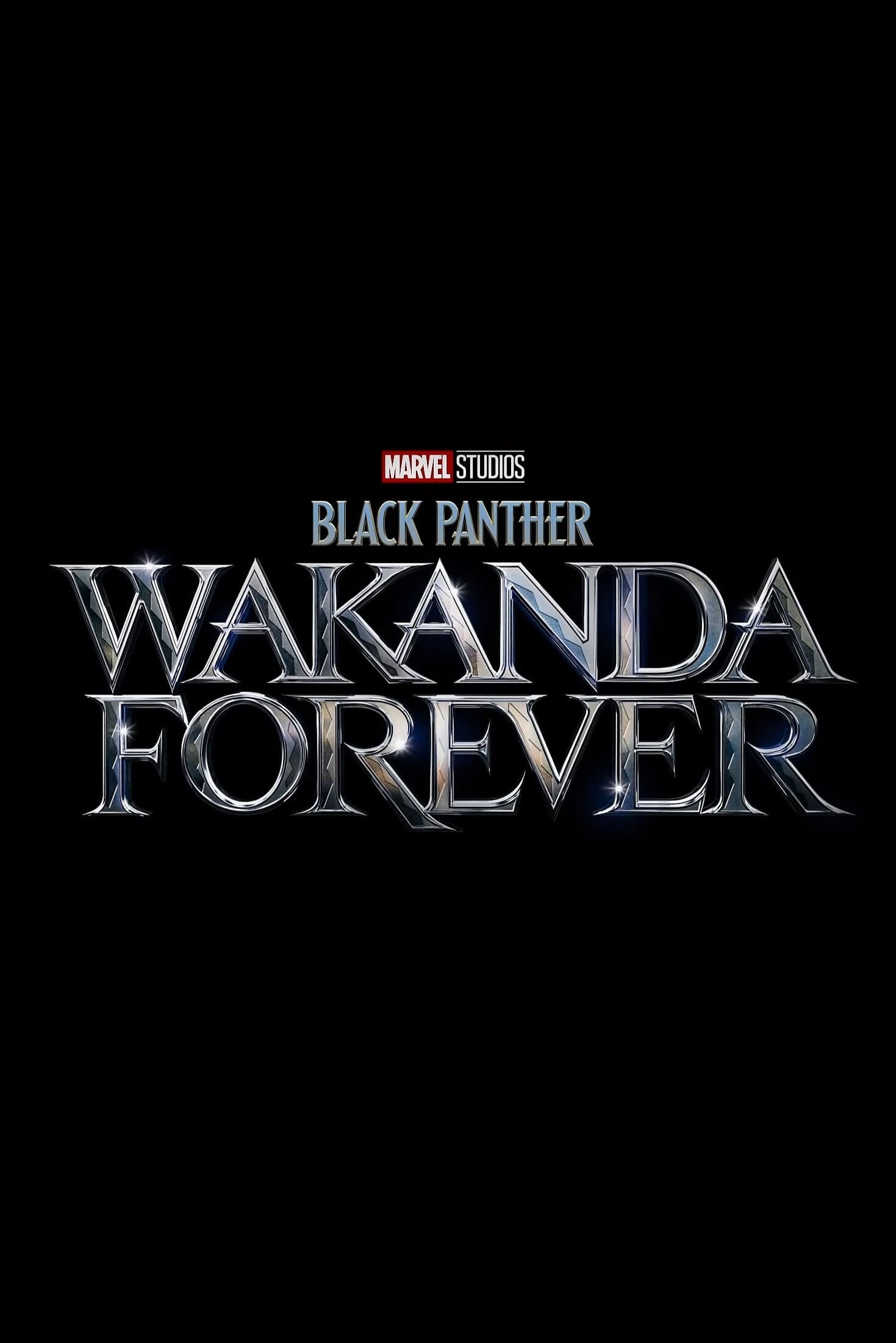 Poster for the movie "Black Panther: Wakanda Forever"
