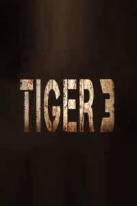 Poster for the movie "Tiger 3"