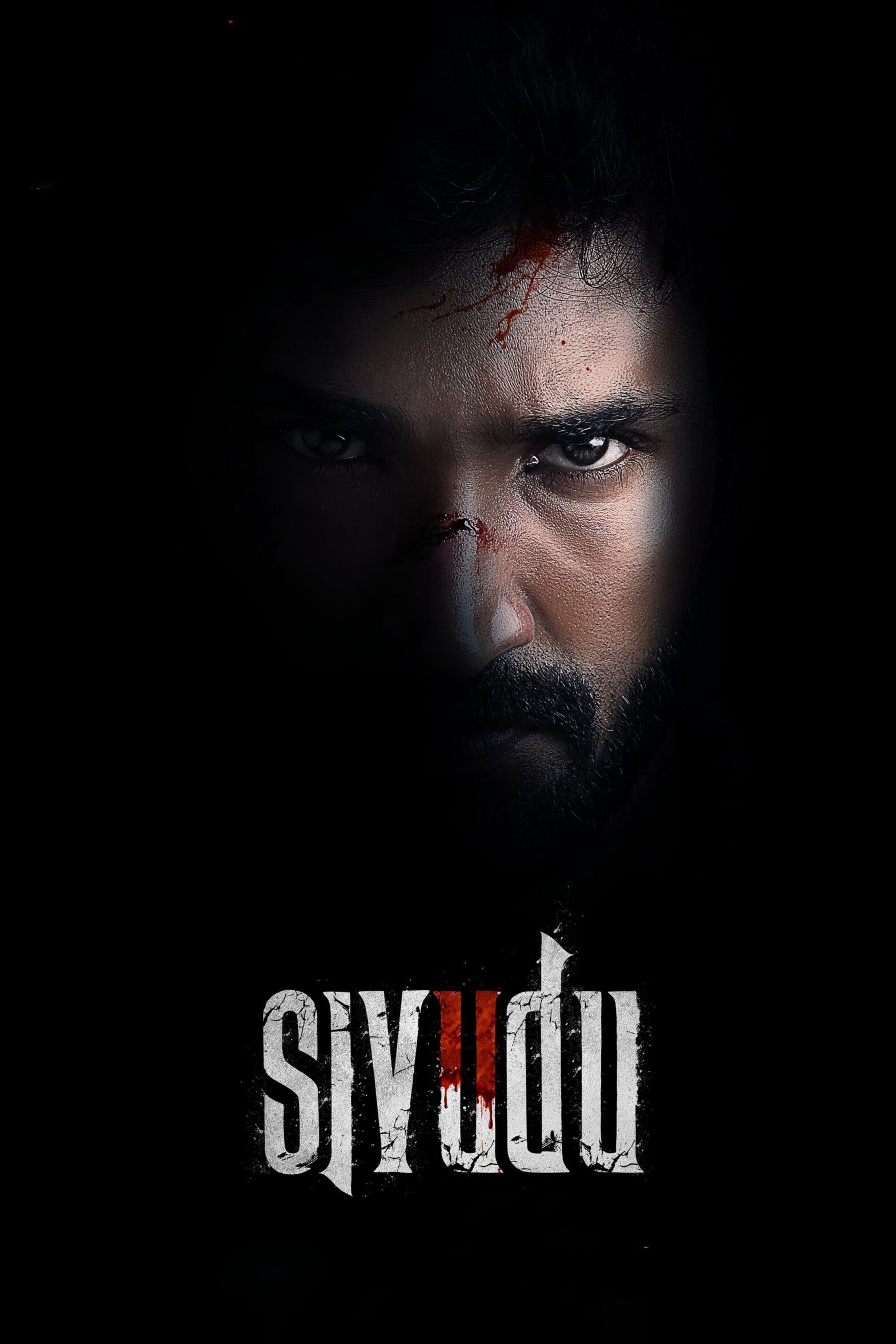 Poster for the movie "Sivudu"