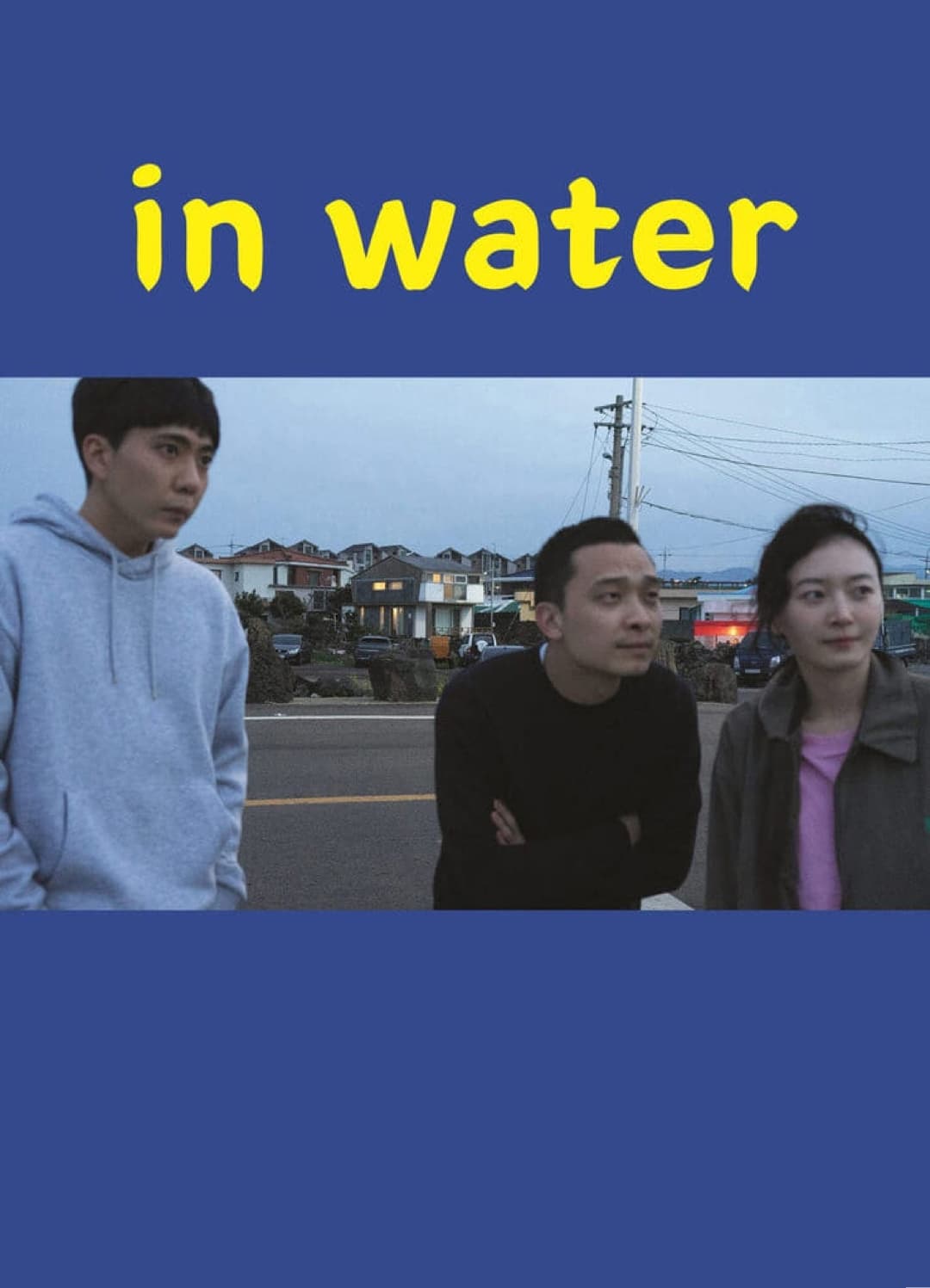 Poster for the movie "In Water"
