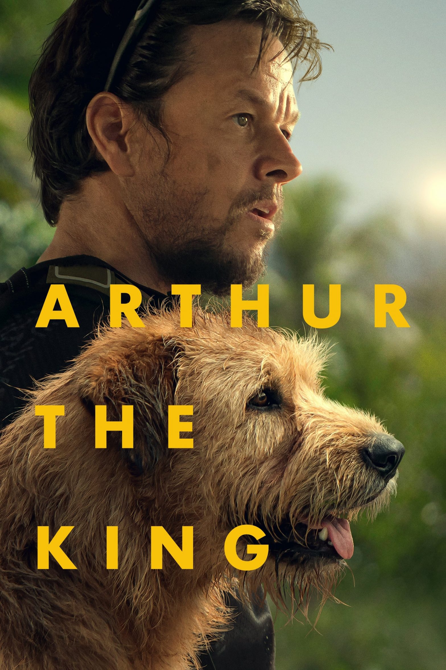 Poster for the movie "Arthur the King"